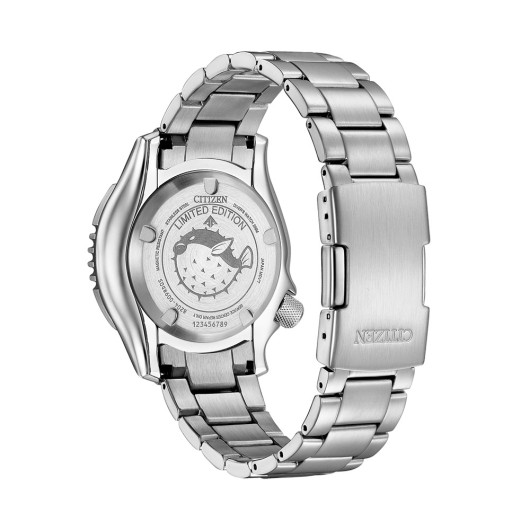 NY0161-63LE - Promaster